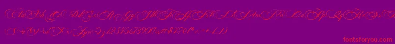 Photograph Script Free Personal -fontti – punaiset fontit violetilla taustalla