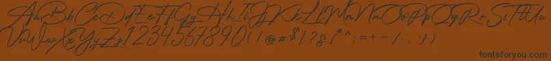 En savoir plus sur la police Photograph Signature Police Photograph Signature – polices noires sur fond brun