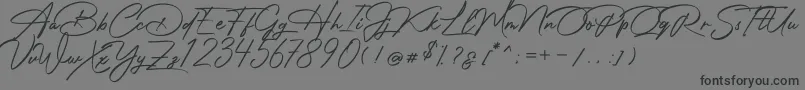 Шрифт Photograph Signature – чёрные шрифты на сером фоне