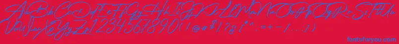 Photograph Signature Font – Blue Fonts on Red Background