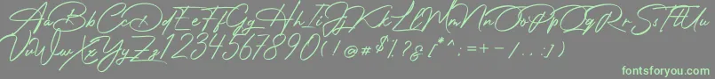 fuente Photograph Signature – Fuentes Verdes Sobre Fondo Gris
