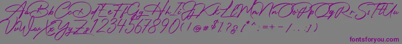 Photograph Signature Font – Purple Fonts on Gray Background