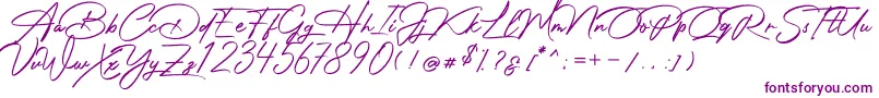 Photograph Signature-Schriftart – Violette Schriften