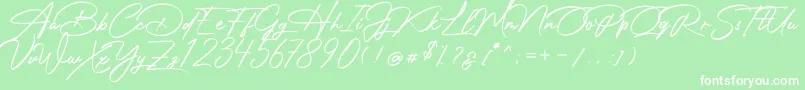 Czcionka Photograph Signature – białe czcionki na zielonym tle