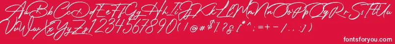 Photograph Signature Font – White Fonts on Red Background
