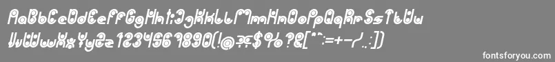 Fonte PHYTOPLANKTON Bold Italic – fontes brancas em um fundo cinza