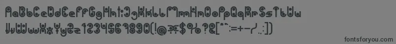 PHYTOPLANKTON Bold Font – Black Fonts on Gray Background