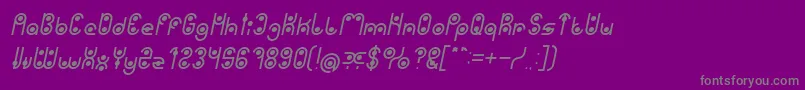 PHYTOPLANKTON Italic Font – Gray Fonts on Purple Background