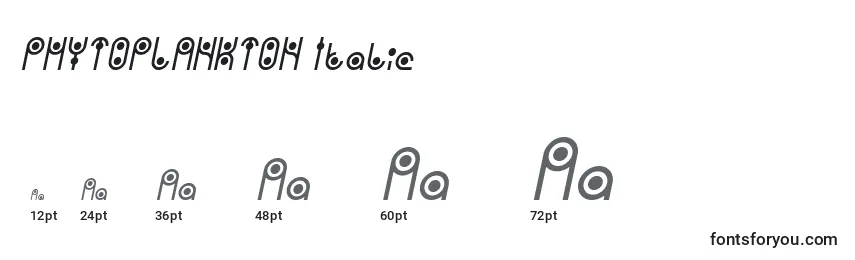 Размеры шрифта PHYTOPLANKTON Italic