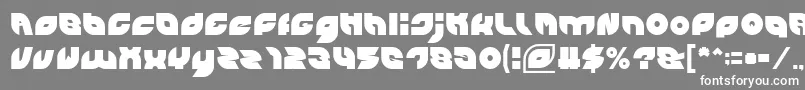 PICAAE Font – White Fonts on Gray Background