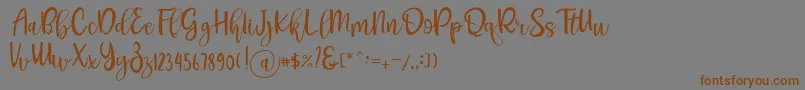 Шрифт Pichellya Script – коричневые шрифты на сером фоне