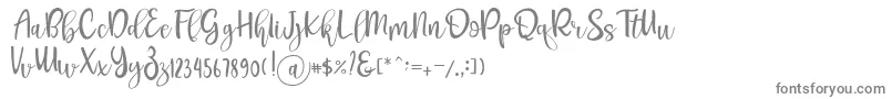 Шрифт Pichellya Script – серые шрифты на белом фоне