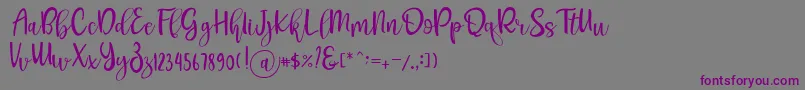 Pichellya Script Font – Purple Fonts on Gray Background