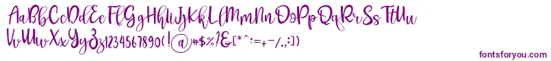 Шрифт Pichellya Script – фиолетовые шрифты на белом фоне