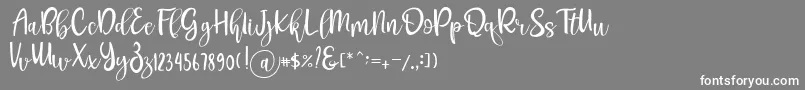 Fonte Pichellya Script – fontes brancas em um fundo cinza