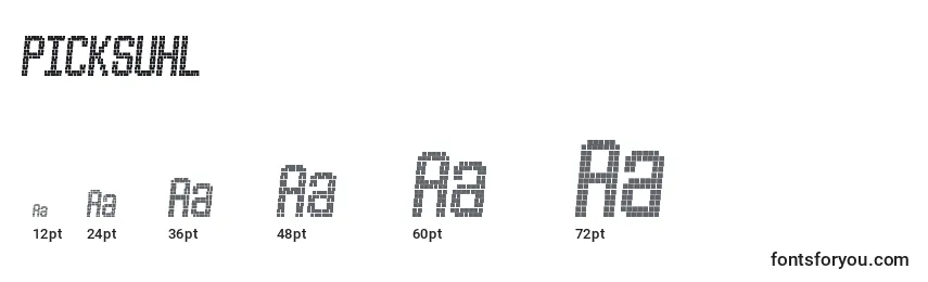 PICKSUHL Font Sizes