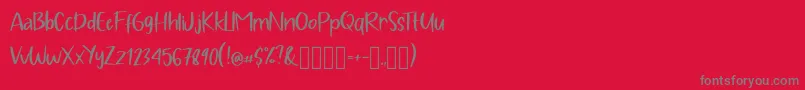 Pig Year Display Font – Gray Fonts on Red Background