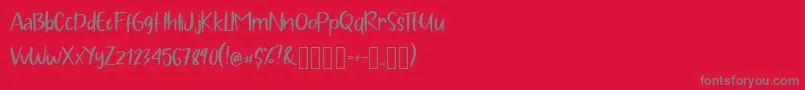 Pig Year Display Font – Gray Fonts on Red Background