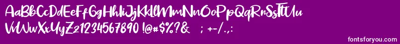 Pig Year Font – White Fonts on Purple Background