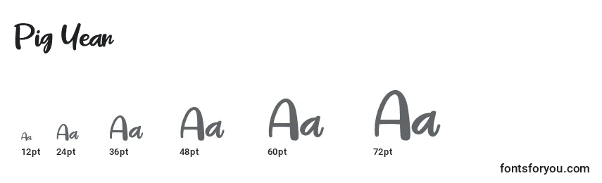 Pig Year Font Sizes