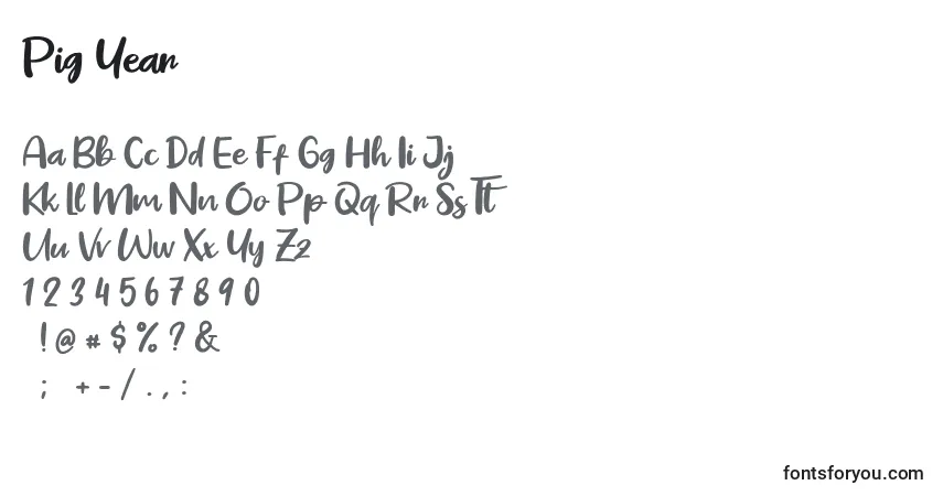 Czcionka Pig Year (136873) – alfabet, cyfry, specjalne znaki