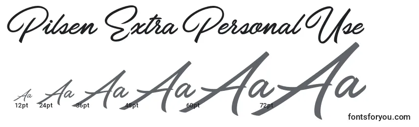 Pilsen Extra Personal Use Font Sizes