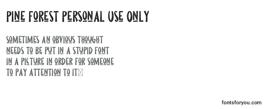 Review of the Pine Forest Personal Use Only Font