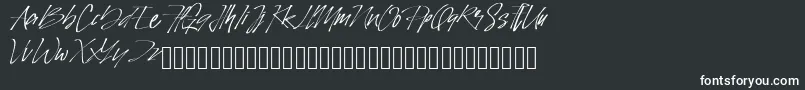 Шрифт PinSign – белые шрифты