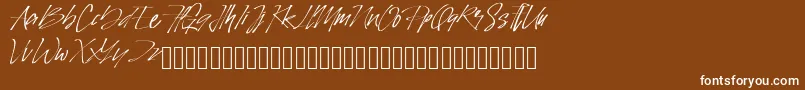 PinSign-Schriftart – Weiße Schriften auf braunem Hintergrund