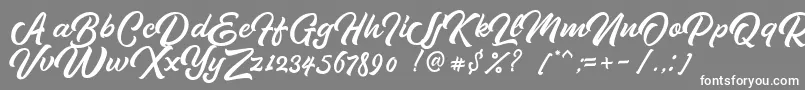 Шрифт Pipetton DEMO – белые шрифты на сером фоне