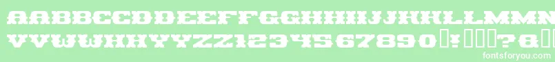 PIRAG    Font – White Fonts on Green Background