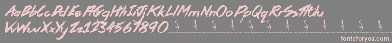 Pirate Scripts Font – Pink Fonts on Gray Background