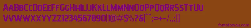 Pittsbrook Sans Font – Purple Fonts on Brown Background