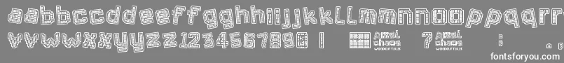Pixel Chaos Font – White Fonts on Gray Background