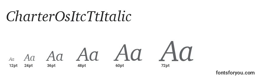 Размеры шрифта CharterOsItcTtItalic