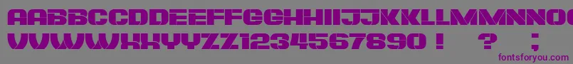 PlagiatBook-Schriftart – Violette Schriften auf grauem Hintergrund