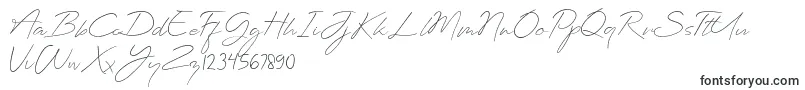 フォントPlanets Signature – 商業フォント