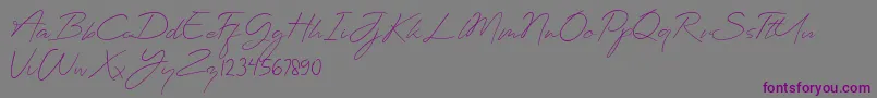 Planets Signature Font – Purple Fonts on Gray Background