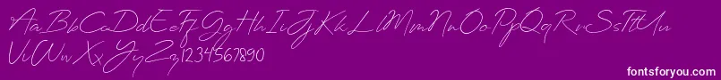 Planets Signature Font – White Fonts on Purple Background
