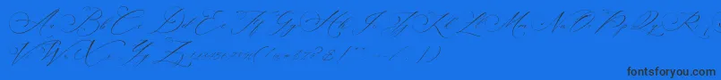 Planolla-Schriftart – Schwarze Schriften auf blauem Hintergrund