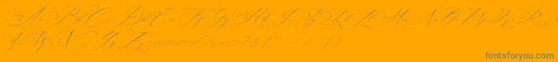 Planolla-Schriftart – Graue Schriften auf orangefarbenem Hintergrund