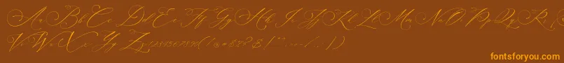 Planolla-Schriftart – Orangefarbene Schriften auf braunem Hintergrund