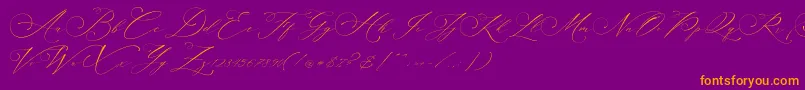 Planolla-Schriftart – Orangefarbene Schriften auf violettem Hintergrund