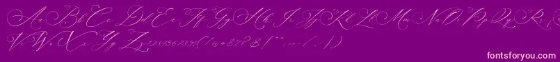 Planolla-Schriftart – Rosa Schriften auf violettem Hintergrund