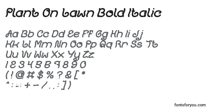 Шрифт Plant On Lawn Bold Italic – алфавит, цифры, специальные символы