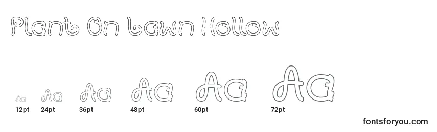 Plant On Lawn Hollow Font Sizes