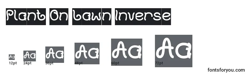 Plant On Lawn Inverse Font Sizes
