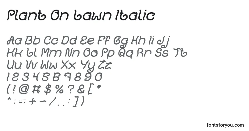 Czcionka Plant On Lawn Italic – alfabet, cyfry, specjalne znaki