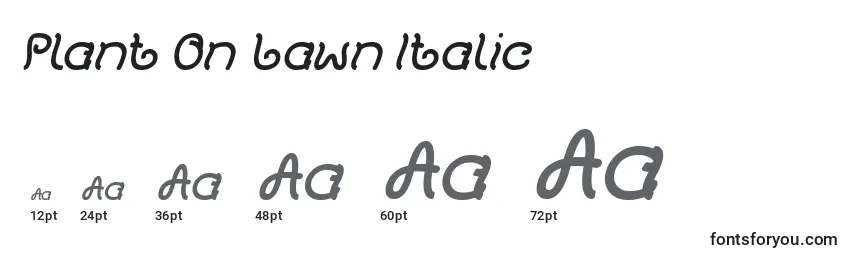Größen der Schriftart Plant On Lawn Italic