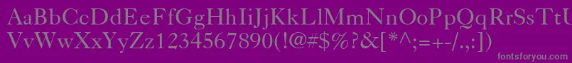 Caslon540LtRoman Font – Gray Fonts on Purple Background